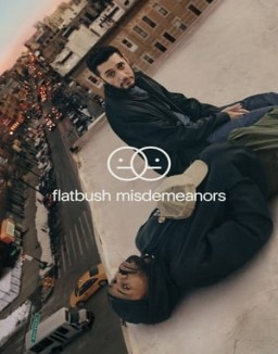 Flatbush Misdemeanors saison 1