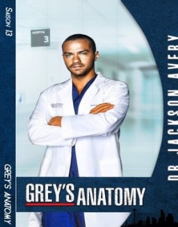 Grey's Anatomy