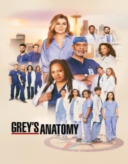 Grey's Anatomy saison 21