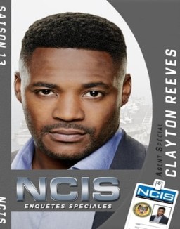 NCIS : Enquêtes Spéciales saison 13